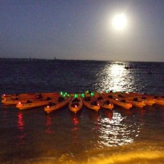 Fajardo: tour in kayak della laguna bioluminescente o in kayak con la luna piena
