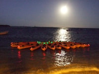 Fajardo, bioluminescerende lagune kajak of full moon kayak tour - Housity