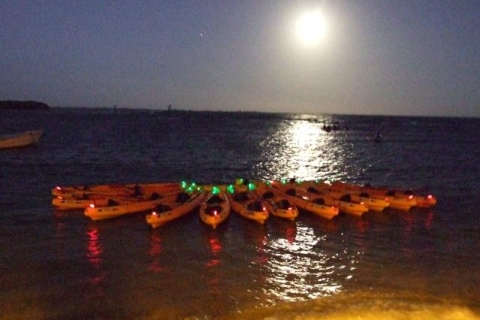 Fajardo: kayak bioluminescent sur la lagune ou excursion en kayak à la pleine lune