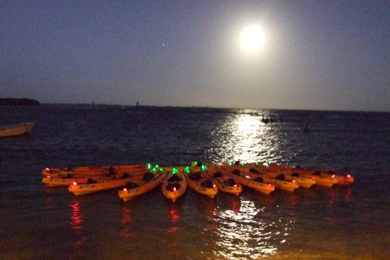 Fajardo: kayak bioluminescent sur la lagune ou excursion en kayak à la pleine lune