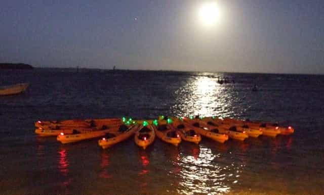 bioluminescent lagoon or full moon kayak eco adventure