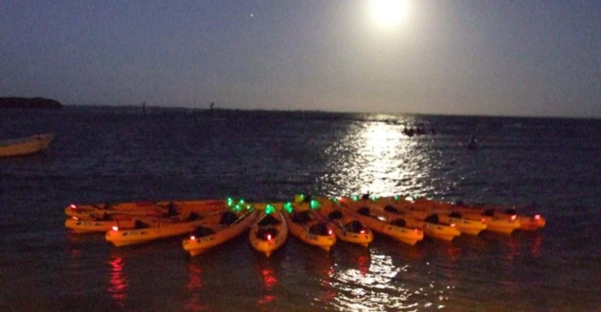 Fajardo: Bioluminescent Lagoon Kayak or Full Moon Kayak Tour