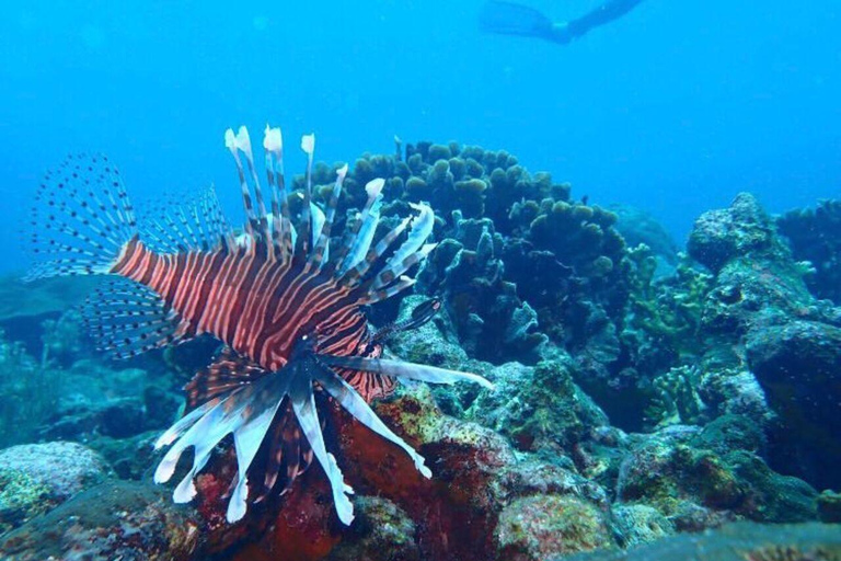 Cartagena: Barú and Rosario Islands Snorkeling Tour From Cartagena: Rosario Islands Snorkeling Tour