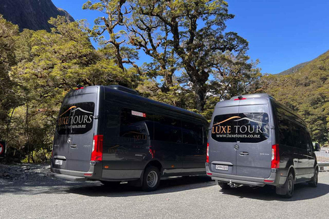 Tour di un giorno intero e crociera Premium nel Milford Sound