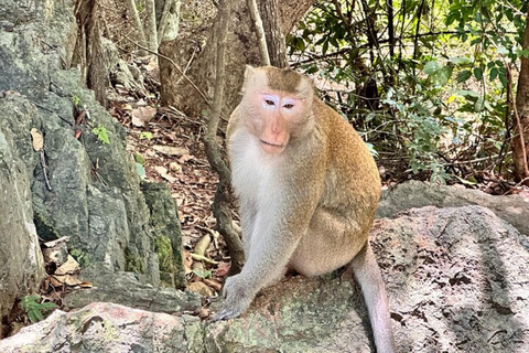 Phnom Penh : Excursion guidée d&#039;une journée au Mont Oudong et à ses templesPhnom Penh : Excursion guidée d&#039;une journée à la montagne et aux temples d&#039;Oudong