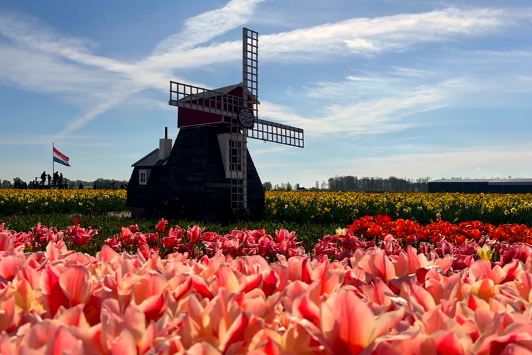 Tulips Tour: Paris to Giverny, Bruges, Keukenhof, Amsterdam Tulips Tour from Paris Giverny, Bruges, Keukenhof, Amsterdam