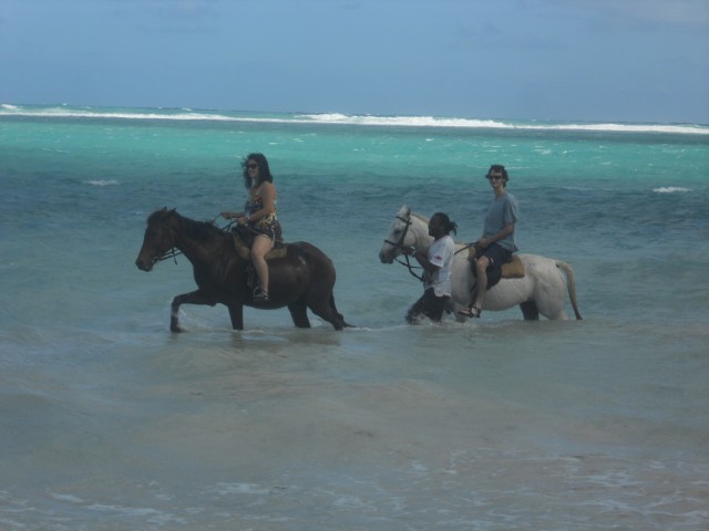 Visit Guided Beach Horseback Riding, Dunn's River Falls & Park in Ocho Rios, Jamaica
