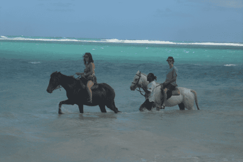 Guided Beach Horseback Riding, Dunn's River Falls & Park