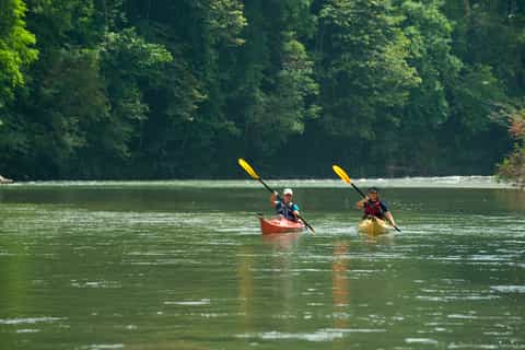 Monkey Island and Indian Village Tour