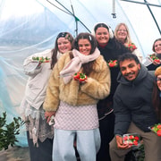 Seoul: Strawberry Picking & Eobi Ice Valley & Nami Island