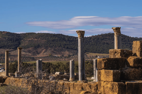 哈马梅特出发：杜加、图伯尔博马尤斯与扎格乌安一日游从哈马梅特出发：杜加、图伯尔博马朱斯与扎格乌安一日游