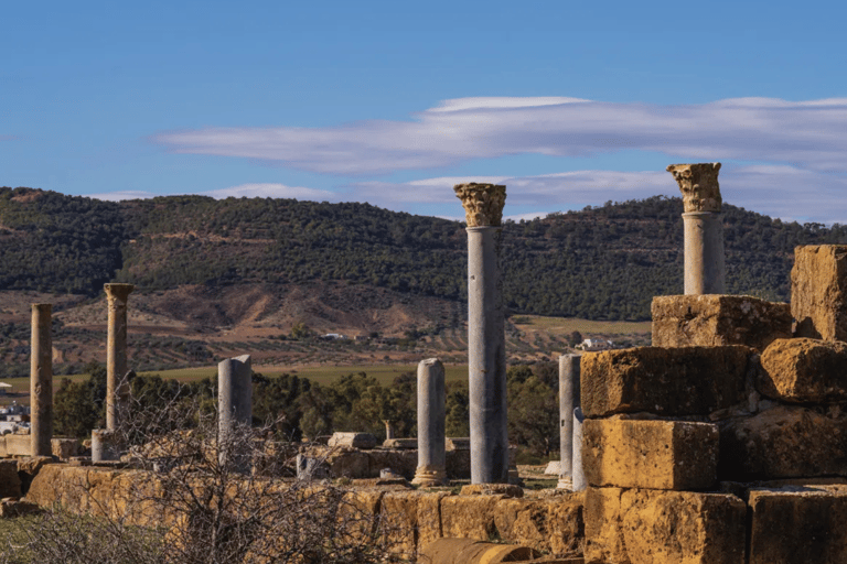 哈马梅特出发：杜加、图伯尔博马尤斯与扎格乌安一日游从哈马梅特出发：杜加、图伯尔博马朱斯与扎格乌安一日游