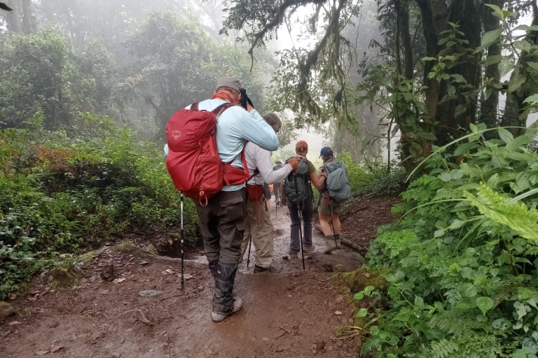 Kilimanjaro: een 8-daagse trektocht door het noordelijke circuit