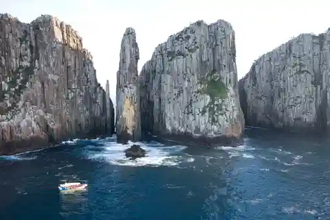 Visite de la péninsule de Tasman, croisière et site historique de Port Arthur