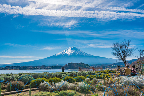 Au départ de Tokyo : Visite d'une jounée du Mont Fuji et de ses principaux sites photographiques