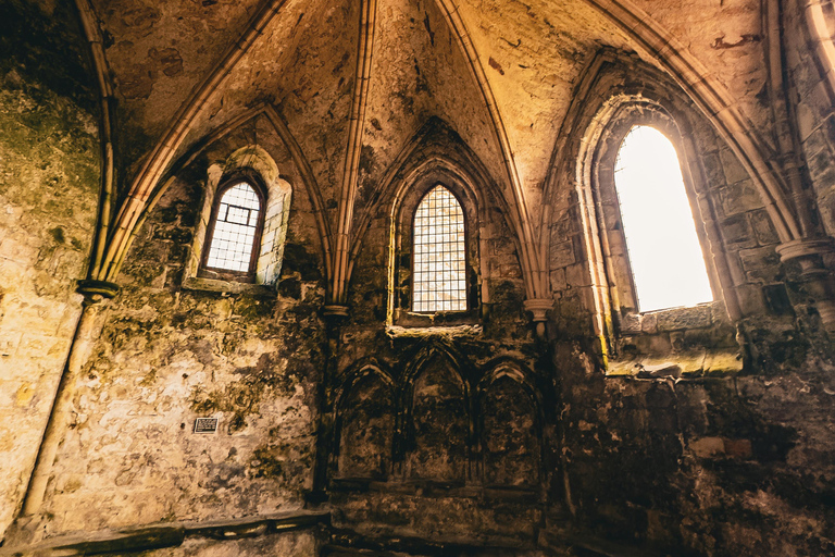 Boat trip and guided tour of Inchcolm Island Boat trip and guided tour to Inchcolm Island