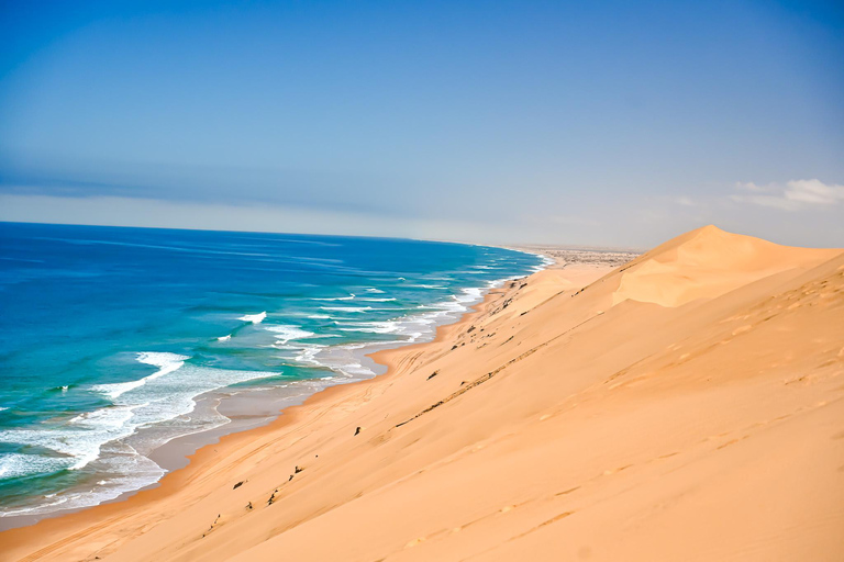 Walvis Bay: Comprehensive Sandwich Harbour 4x4 Tour