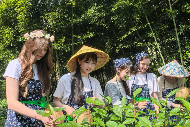 Hangzhou: From Leaf to Cup, Pick, Pan-Fry & Whisk Tea