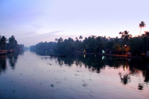 Die Backwaters von Alapuzha vom Hafen in Cochin ausStandard Option