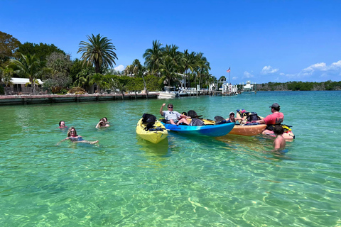 Tavernier, FL: Mangrove and Manatees Guided Kayak Eco Tour