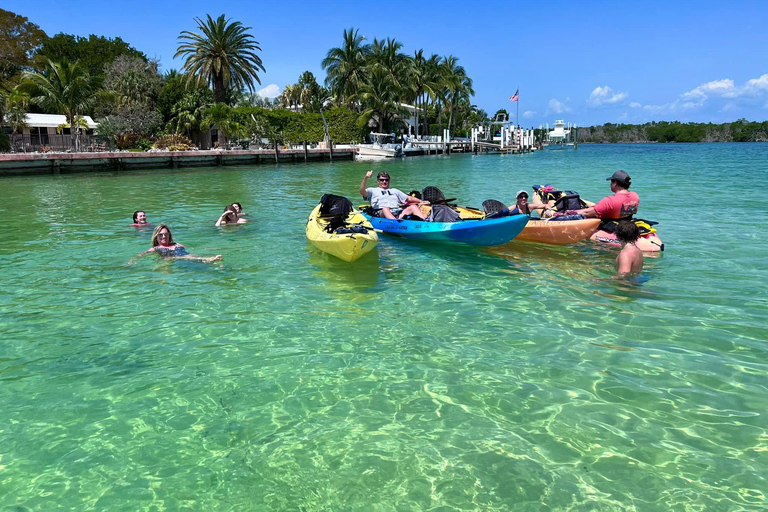Tavernier, FL: Mangrove and Manatees Guided Kayak Eco Tour