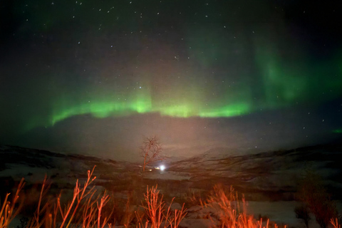 Tromsø: Aurora Tour with Photos & Warm Bodysuits