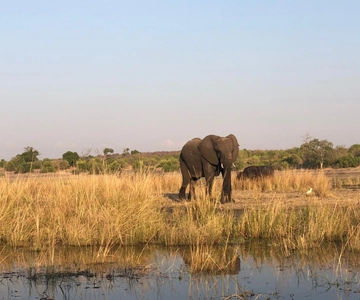 Safari con fotosafari e passeggiata con i rinoceronti
