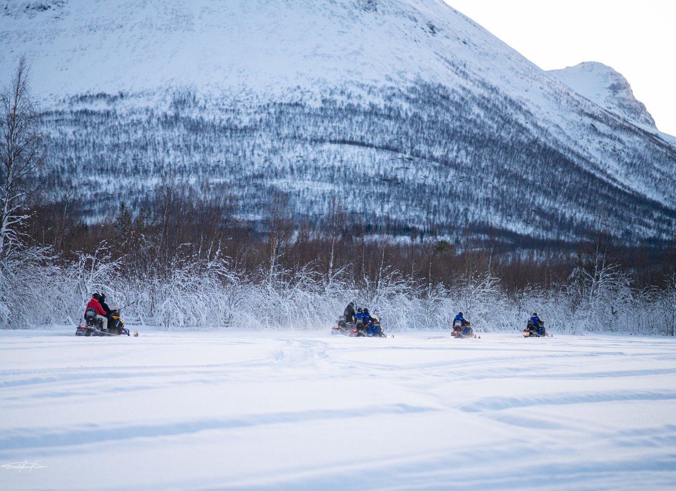 Tromsø: Lokal snescooteroplevelse