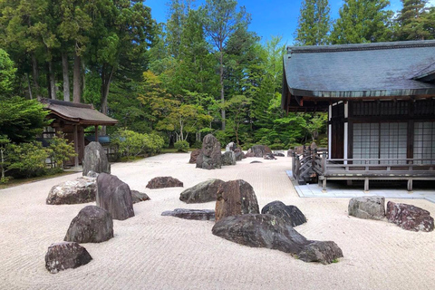 Mount Koya from Osaka: Cultural Small Group Day Tour