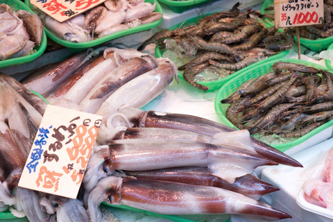 Tokyo Shopping Street Private Tour Government Licensed Guide