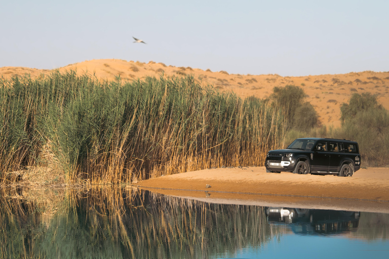 Dubai: Luxury Safari with Michelin-Curated 4-Course Dinner Luxury Desert Safari in a Private Car
