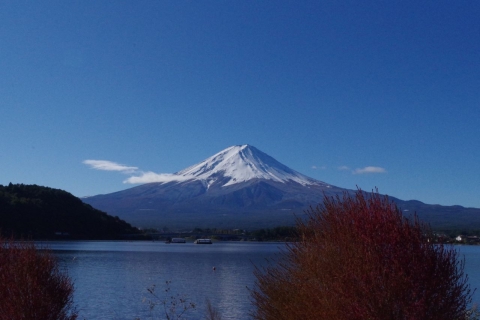 Tokyo : Excursion d'une journée au lac Kawaguchi et expérience artisanale