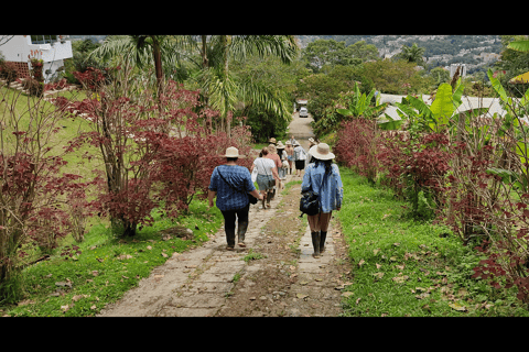 Medellín: Coffee Farm Tour with Tasting Experience