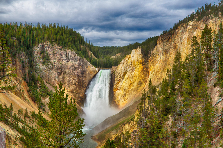 From Bozeman: Classic Yellowstone Tour (2 Days & 1 Night)