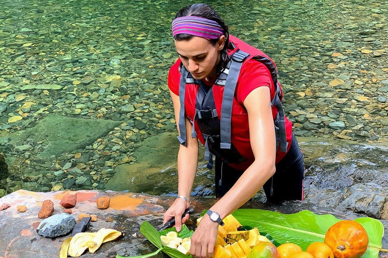 San Juan: El Yunque Rainforest en Bio Bay Combo Tour