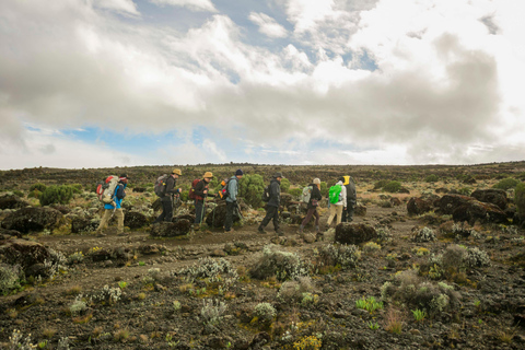 6 jours de trekking sur la route Machame du Kilimandjaro