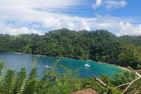 Tobago: Caribbean Coast Tour with Waterfall Swim
