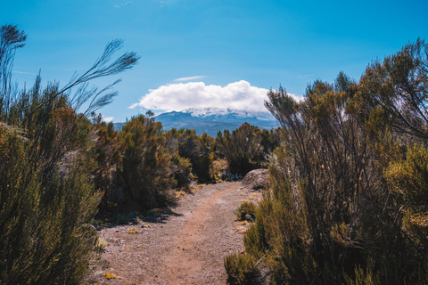 7 jours d'ascension du Kilimandjaro par la route d'Umbwe