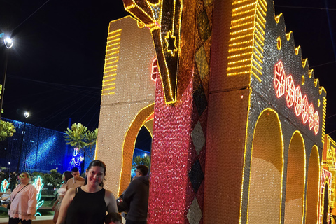 Medellin: City Christmas Lights Tour in a Themed Vehicle