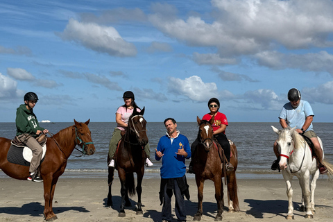 Montevideo: Horseback riding on a trail to the Beach