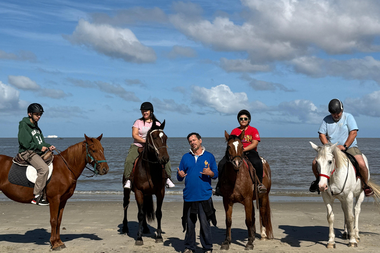 Montevideo: Horseback riding on a trail to the Beach