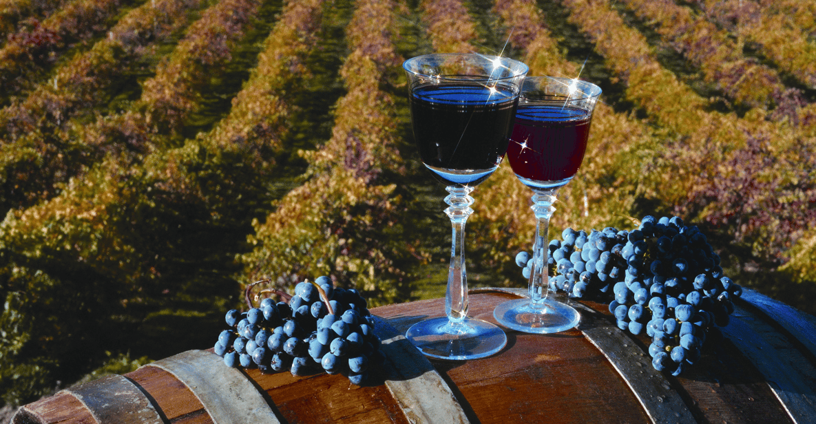From San Francisco: Napa & Sonoma Valley Full-Day Wine Trip