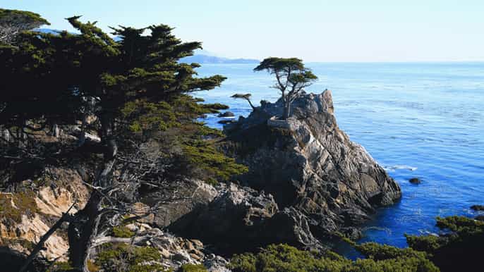 pacific coastal highway tour to monterey carmel