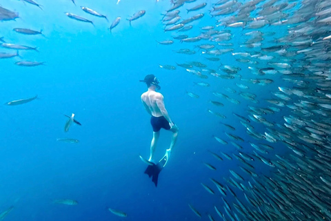 Cebu: Kawasan Canyoneering & Sardines Run and Turtle Chase Cebu Joiners: Kawasan Canyoneering & Sardines Run & Turtle