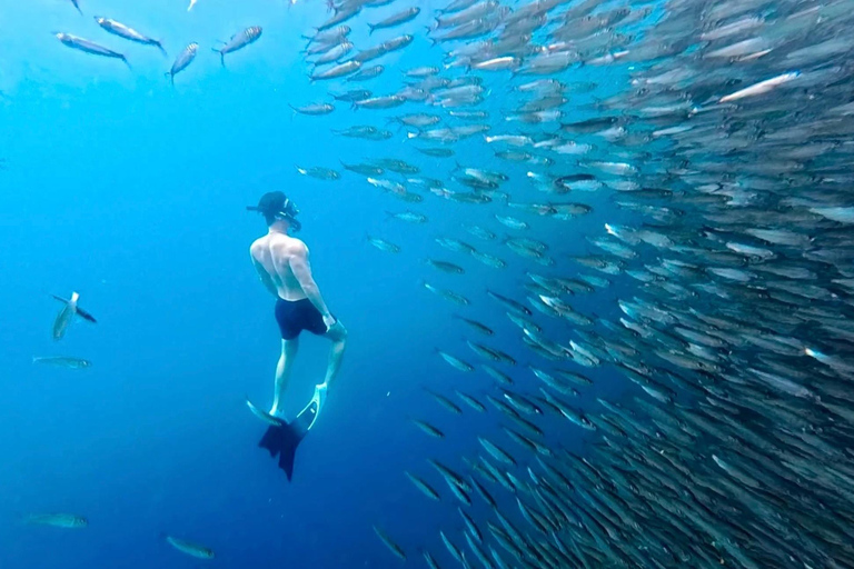 Cebu: Kawasan Canyoneering & Sardines Run and Turtle Chase Cebu Joiners: Kawasan Canyoneering & Sardines Run & Turtle