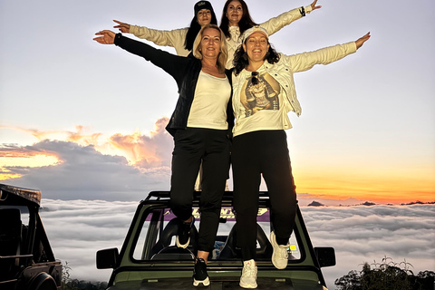 Bali: Mount Batur Sunrise Jeep, Pine Forest And hot springs Hot Spring Ticket (without transportation)