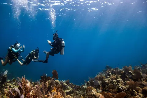 UPPTÄCK DYKNING I LEMORNE med EasydiveMauritius
