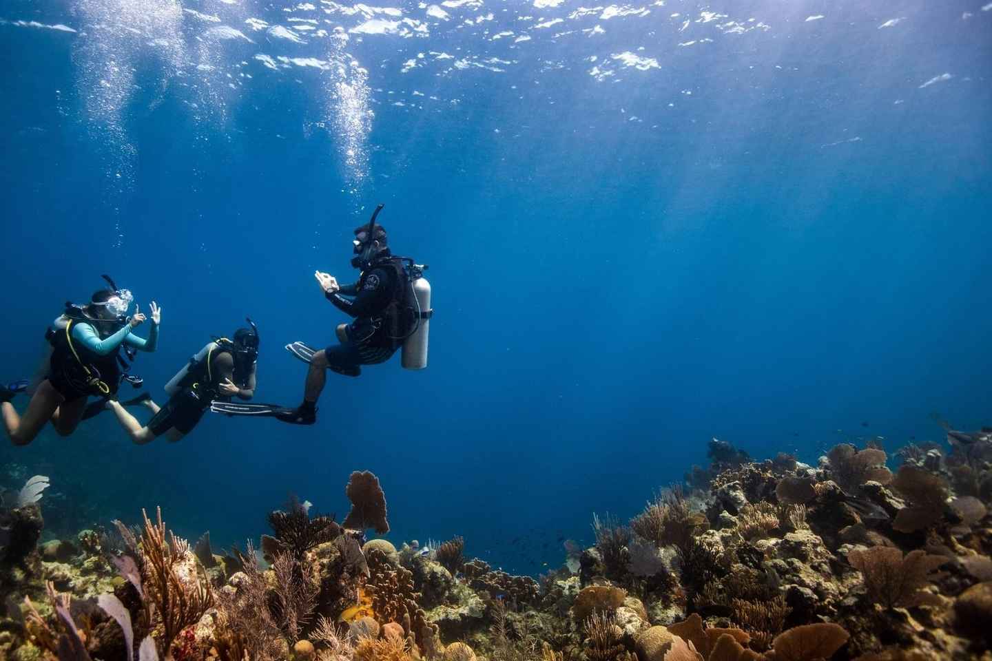 DISCOVER SCUBA DIVING IN LEMORNE with EasydiveMauritius - DISCOVER SCUBA DIVING IN LEMORNE with EasydiveMauritius