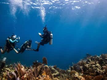 UPPTÄCK DYKNING I LEMORNE med EasydiveMauritius