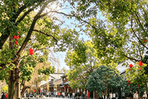 One Day at Shanghai Film Park and Zhujiajiao Water Town